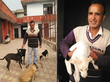 news story on animal lover ved prakash 