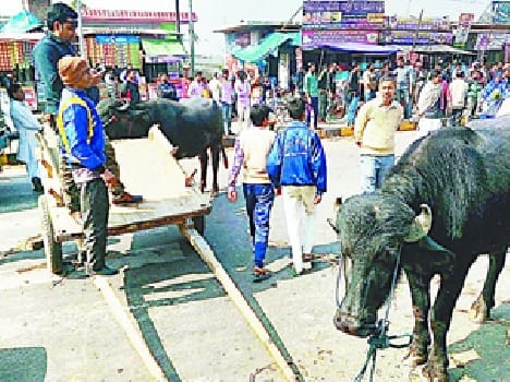 Every Jat community ready to sacrifice