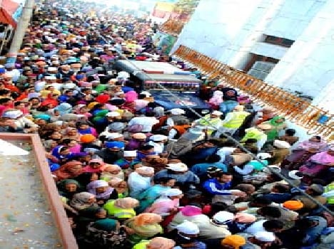 Rain of flowers on the path of faith
