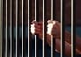 Threats to the jailer , will fly in Naini jail blast