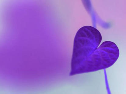 importance of sex in human life