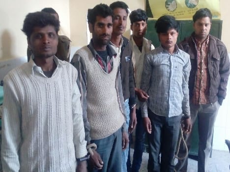 Six arrested in the murder of God's refuge