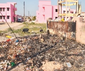 now electricity from home waste