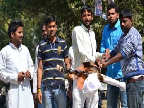 allahabad news