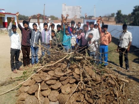Holly placed in removal raging rural school