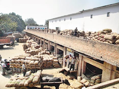 Cold storage for potato storage is no empty
