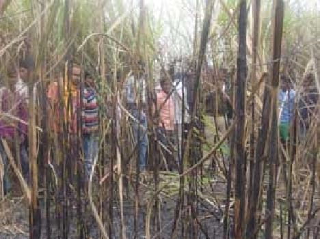 Dalit girl burnt alive