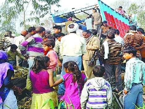 Reflex trucks have been exposed to animal smuggling pole