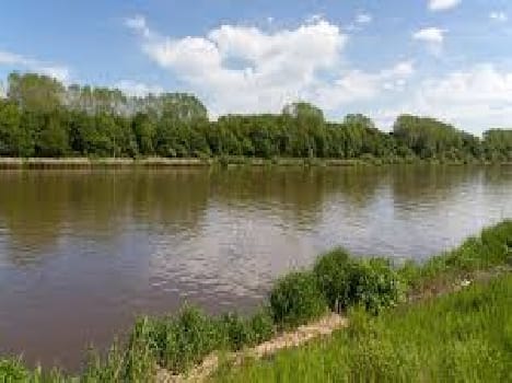 body, recover, missing, property dealer, vyass, river
