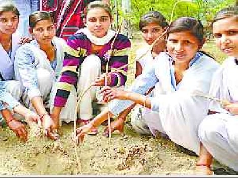 Student ploughed