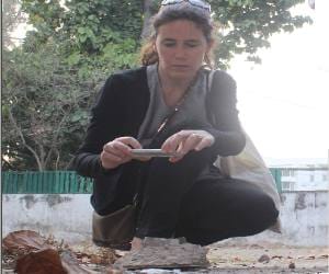 foreign guests survived at Jenare house 