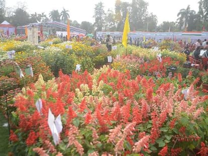 agriculture production should be increased.