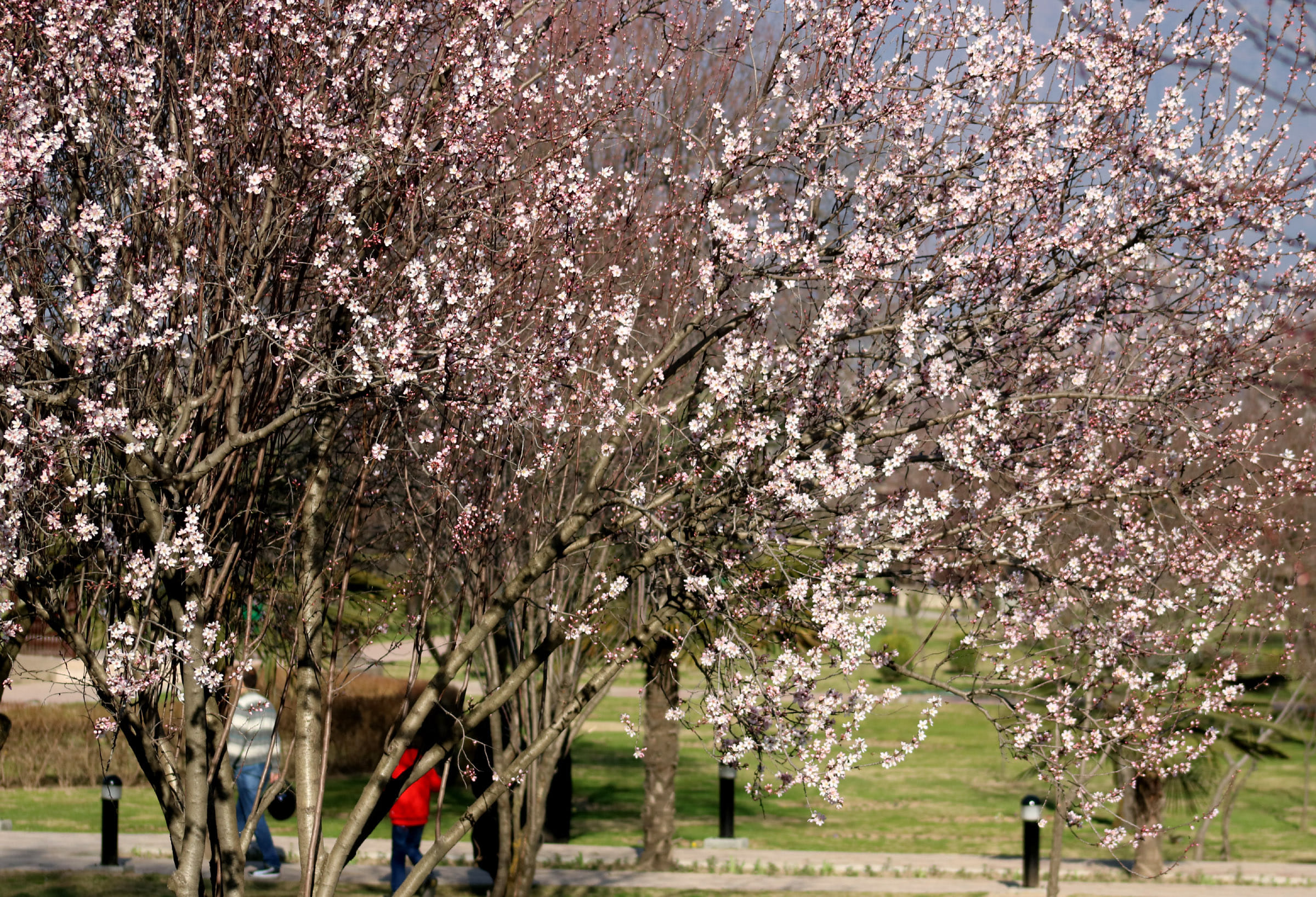 auspicious and special day is March 18th 