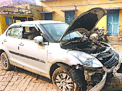 Luxury car in three protected animals seized