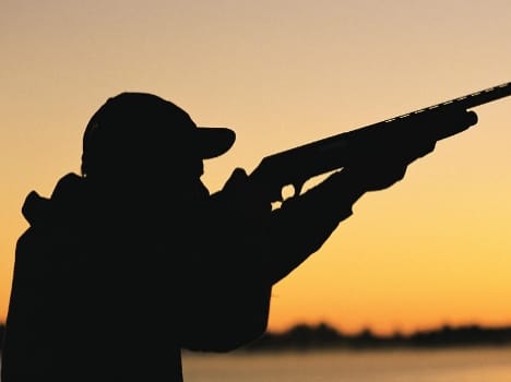 Man shot dead in una himachal pradesh