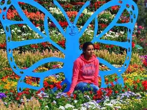 punjab university rose festival on weekend