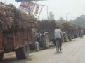 Trolion filled with cane Traffic disrupted