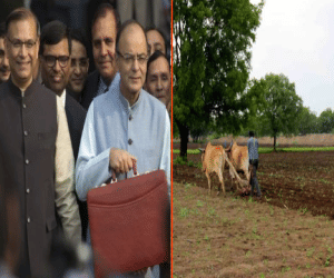 Budget bloom farmers face, said friendly and visionary.