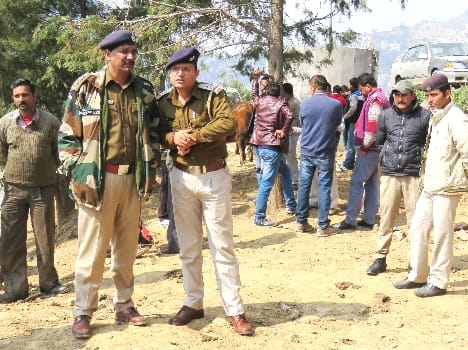 Tension in shimla as ox killing in gausadan police interrogation.