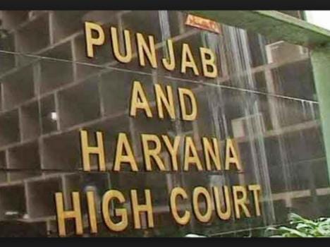haryana dgp file report on murthal gangrape in highcourt