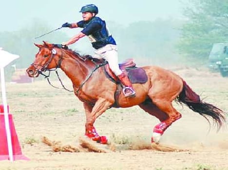 national horse riding compilation meerut