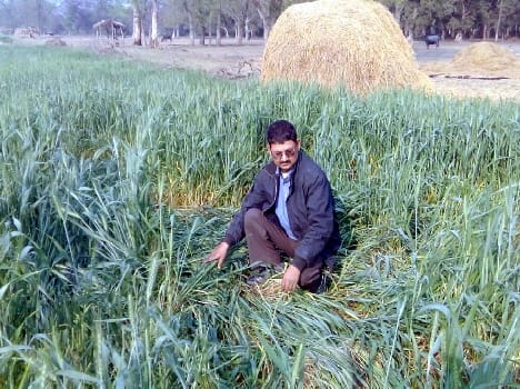 From ragging acres of crops by wild elephants