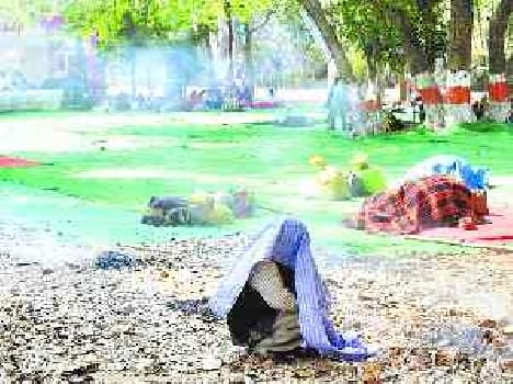 Bees attack on farmer mahapanchayat , 26 injured