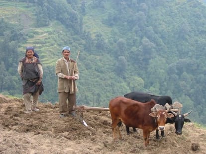 impact of budget on tourism industry 