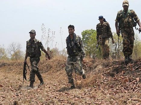 8 Maoists Killed by AP Greyhounds and Chhattisgarh Police