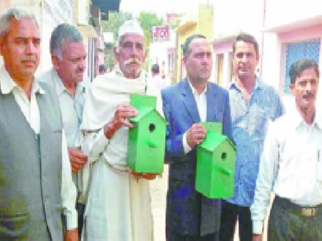 Campaign launched to save Sparrow