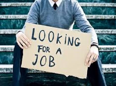 'Carrier' will shape the 'National Career Service '
