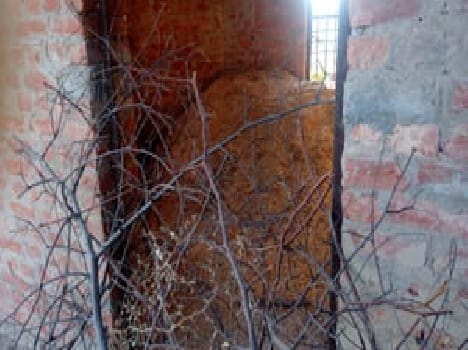 The Secretariat had incomplete Romai