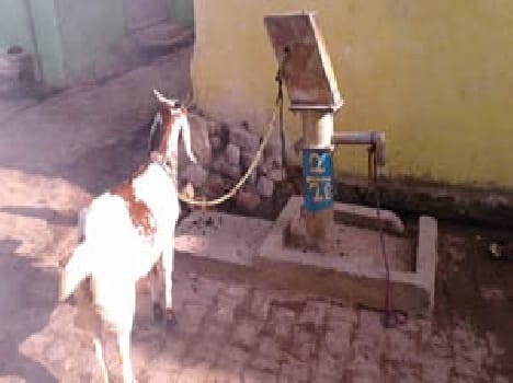 Not even a year later taken care of hand pumps