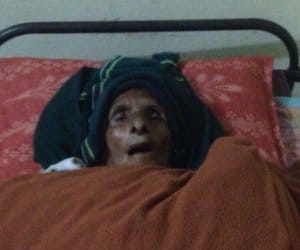 buffalo attack, manimajra attack, two ladies injured, manimajra, mauli village, chandigarh
