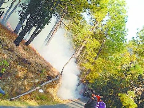 Forest fire erupted in
