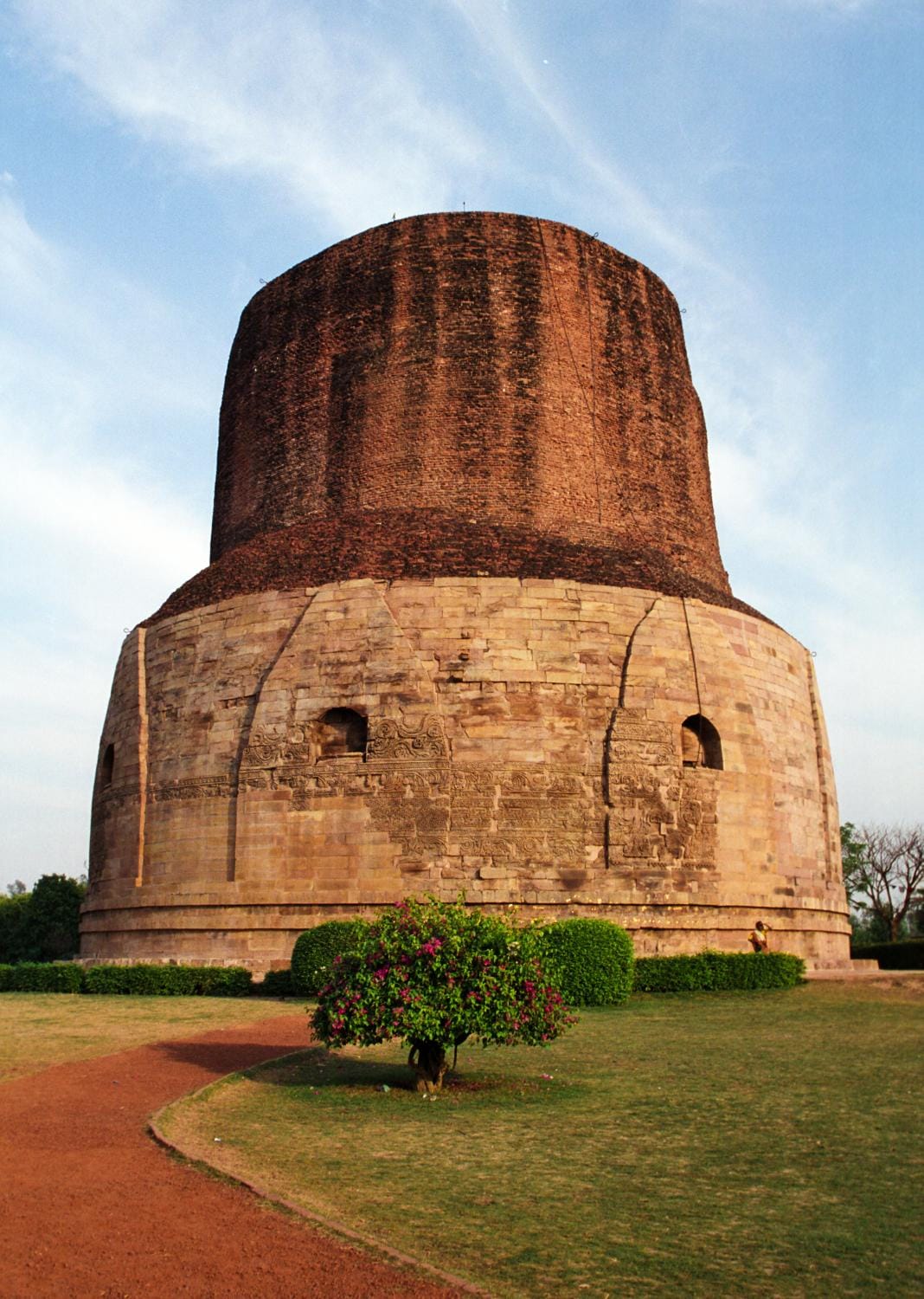 up first dolphin sanctuary will be builds in sarnath